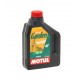 Масло Motul Garden 4T SAE 30