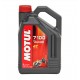 Масло Motul 7100 4T 10W/30