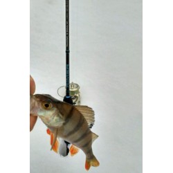 RIMER Rockfish S-802L-UL-T 2.44 м 1-5 гр