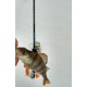 RIMER Rockfish S-632UL-ST 1.9 м 0.5 - 5 гр