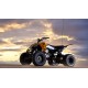 YFZ450R