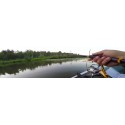 DAIWA